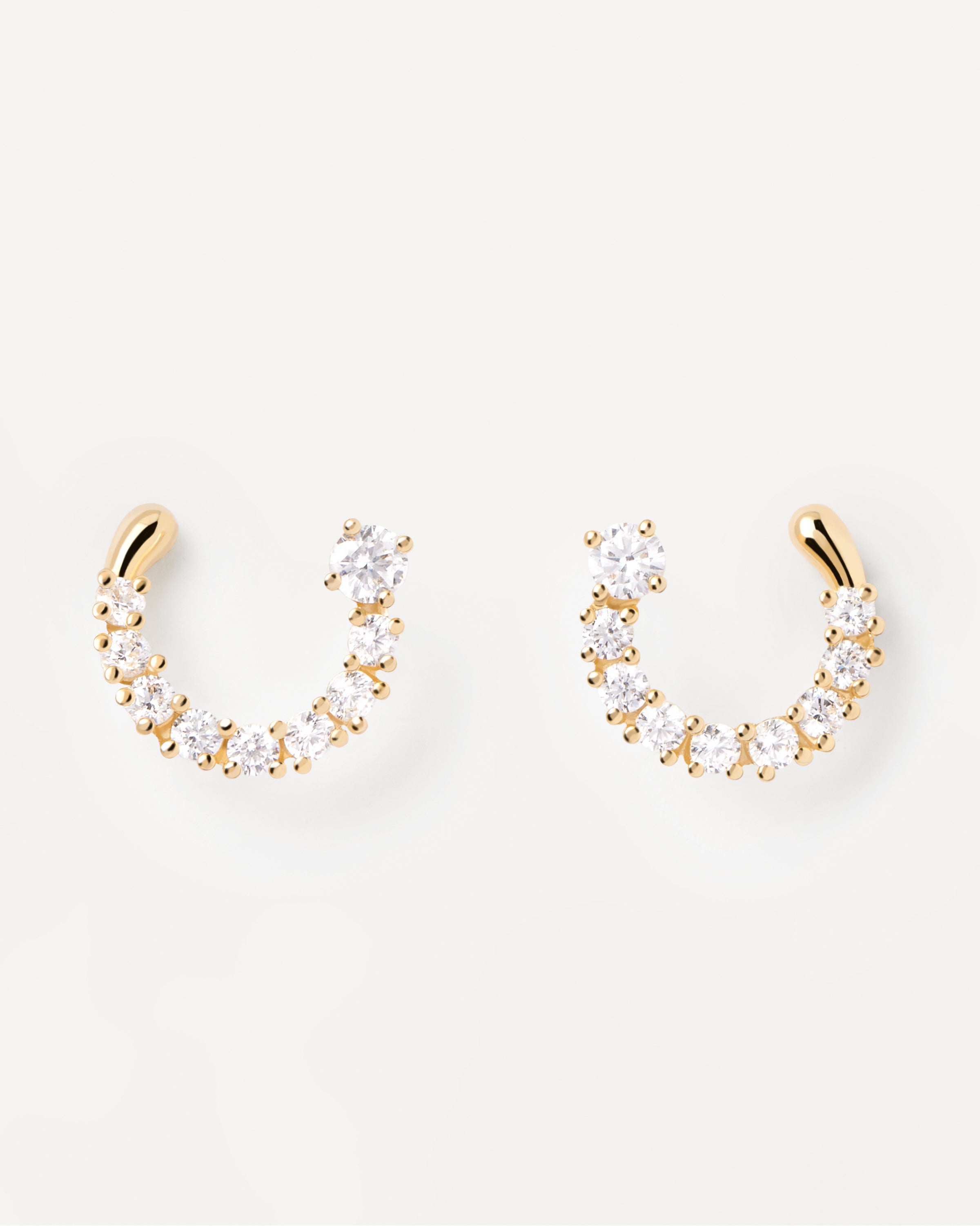 Pendientes Leona de Plata - Diseño Elegante para Mujer, Joyería Moderna con Detalles Artesanales, Aretes Brillantes para Ocasiones Especiales, Regalo Único de Moda Femenina